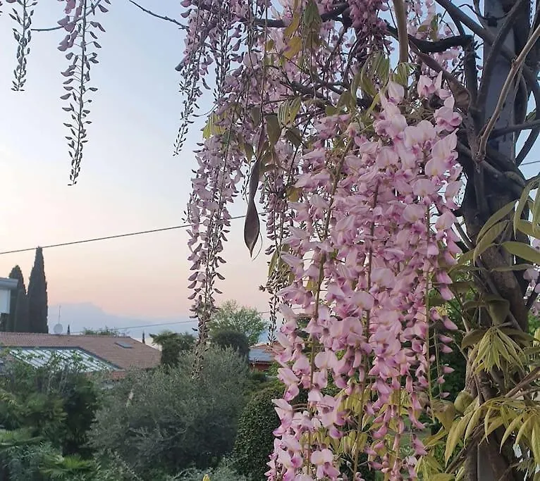 Molo - Residenza Con Accesso Diretto Al Lago Lazise